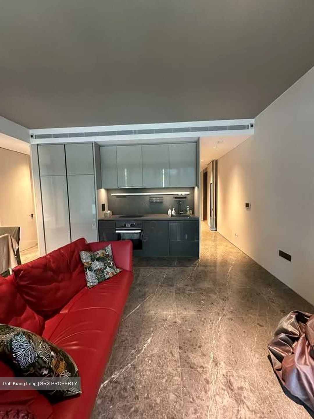 Cuscaden Reserve (D10), Condominium #577360121